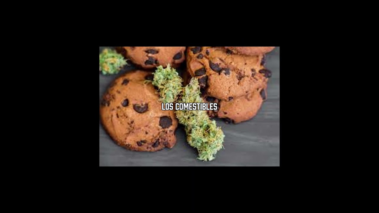 🍁Cannabis: &iquest;Fumar, Vapear o Comer? 🍁