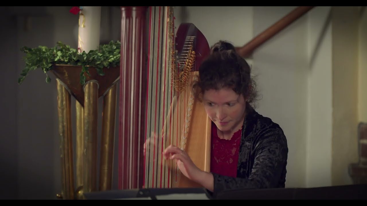 Gabriel's Oboe - Ennio Morricone - oboe & harp version
