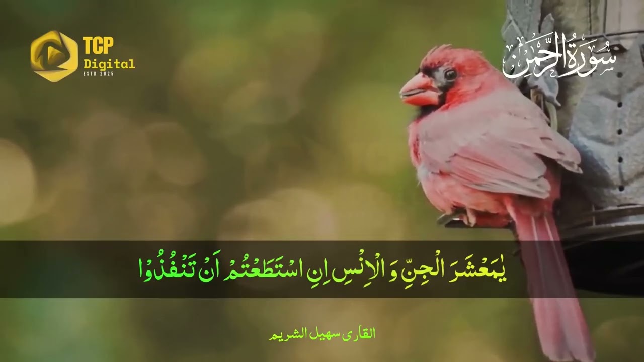 SURAH Rahman Full with Urdu Translation Qari Sohail Al Shuraim & Qari Waheed Zafar Qasmi