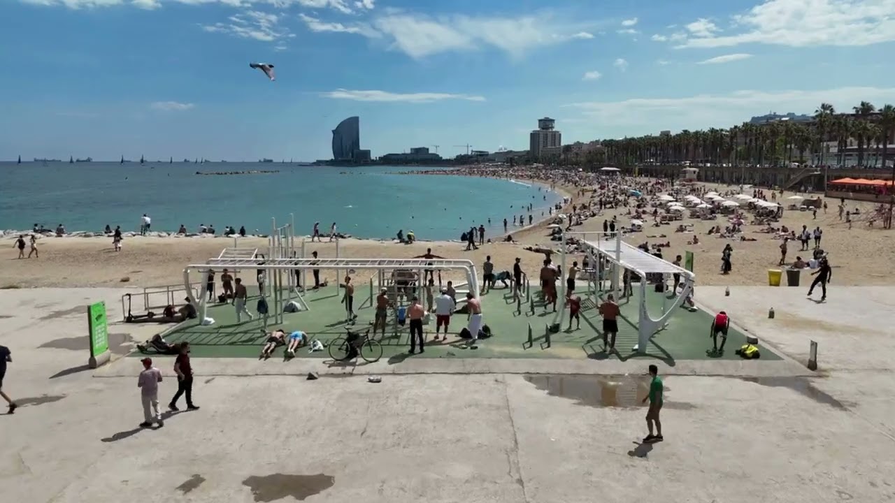 Aerial Harmony: Barcelona and the Mediterranean. 