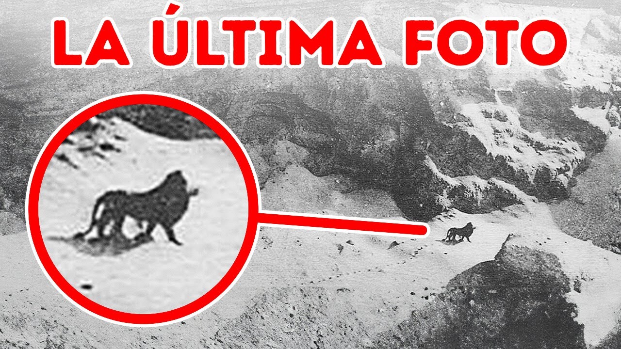 Los &uacute;ltimos encuentros con especies extintas