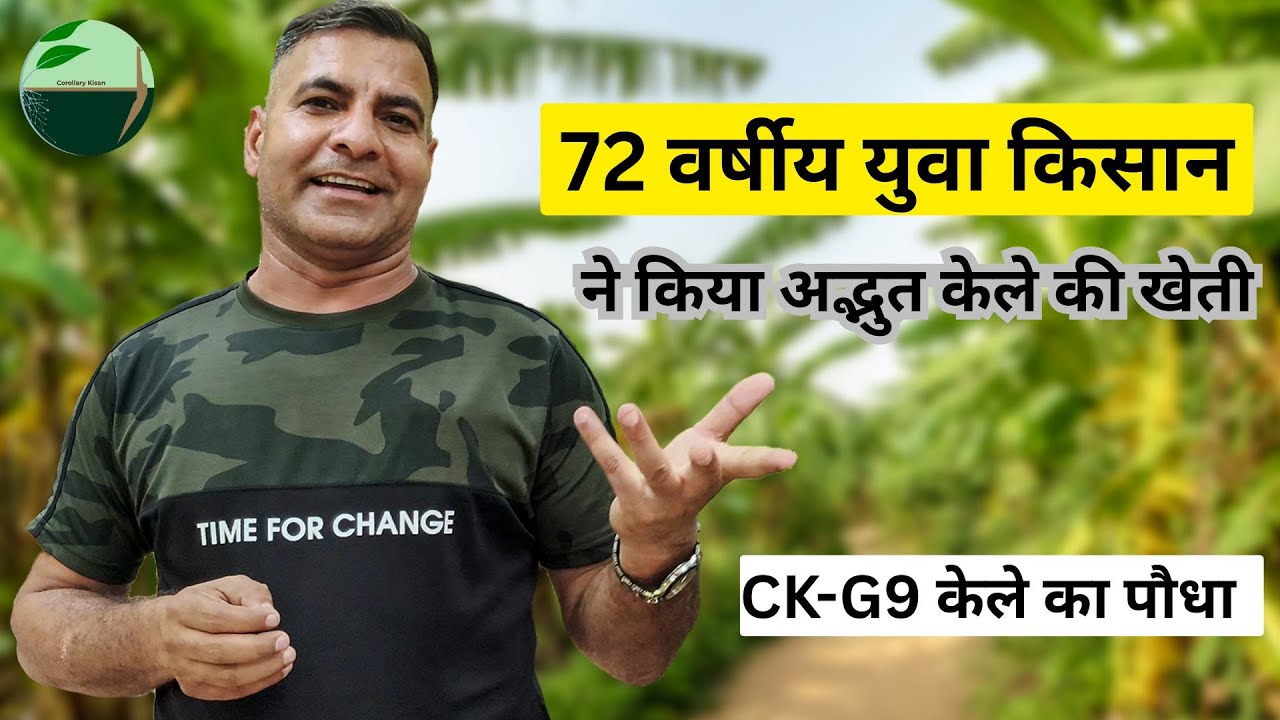 1449-Kisan karyashala: Bed प्रबंधन 2 फीट चौड़ा और 1 फीट गहरा : Rahul Jawan के साथ। #bananafarming