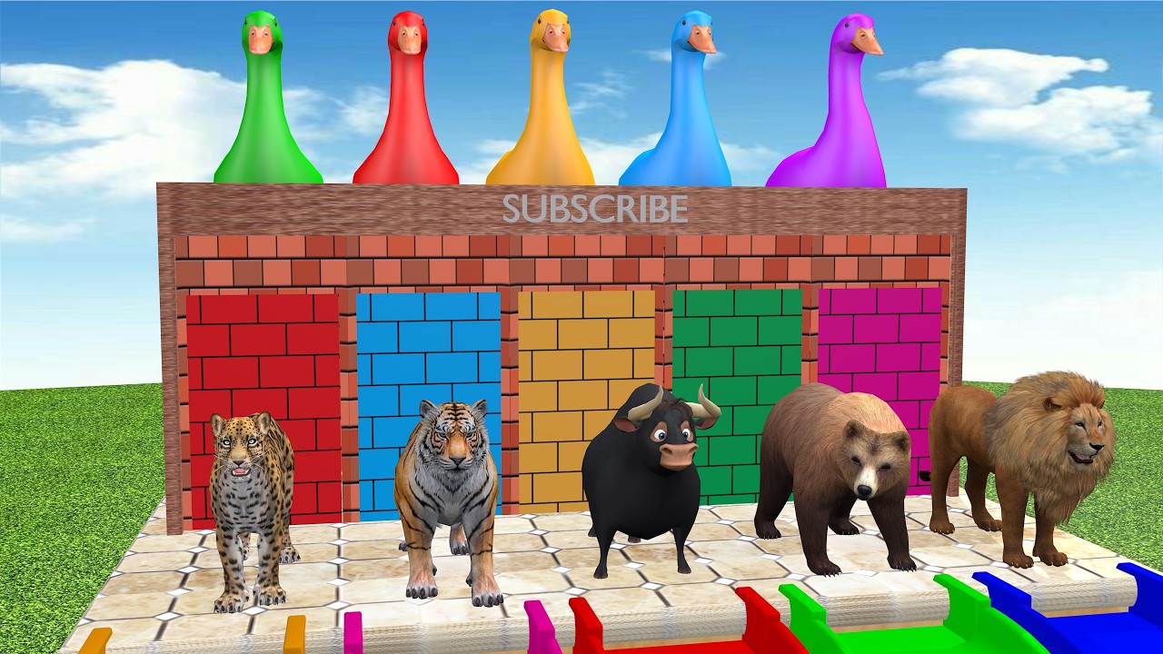 Funny 3D Animal Slide Game with Leopard Lion Bear Tiger and Ox