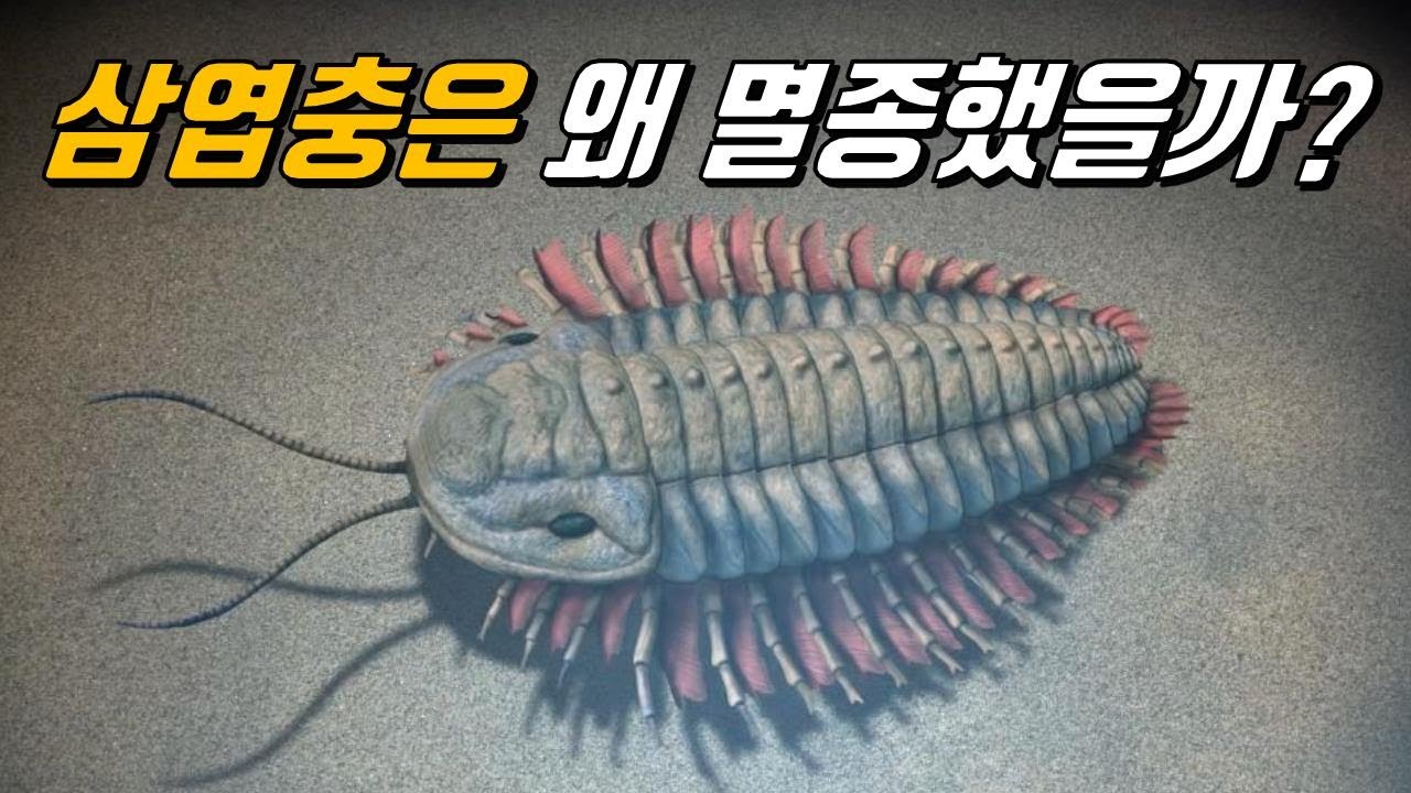 그 많던 삼엽충은 왜 모두 사라졌을까?