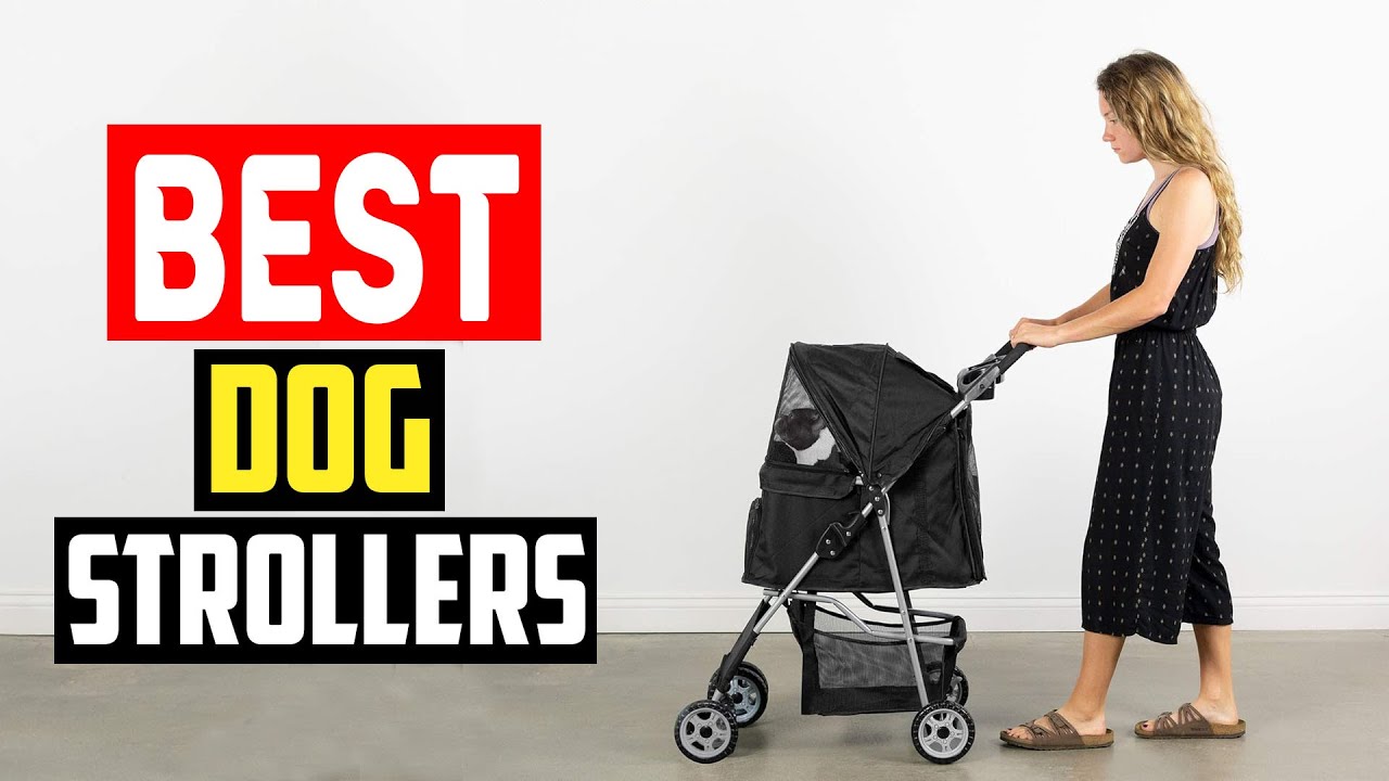✅Top 5 Best Dog Strollers in 2025