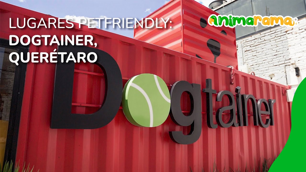 Lugares Petfriendly: Dogtainer Querétaro | Guarderías caninas | Guardería para perros en Querétaro
