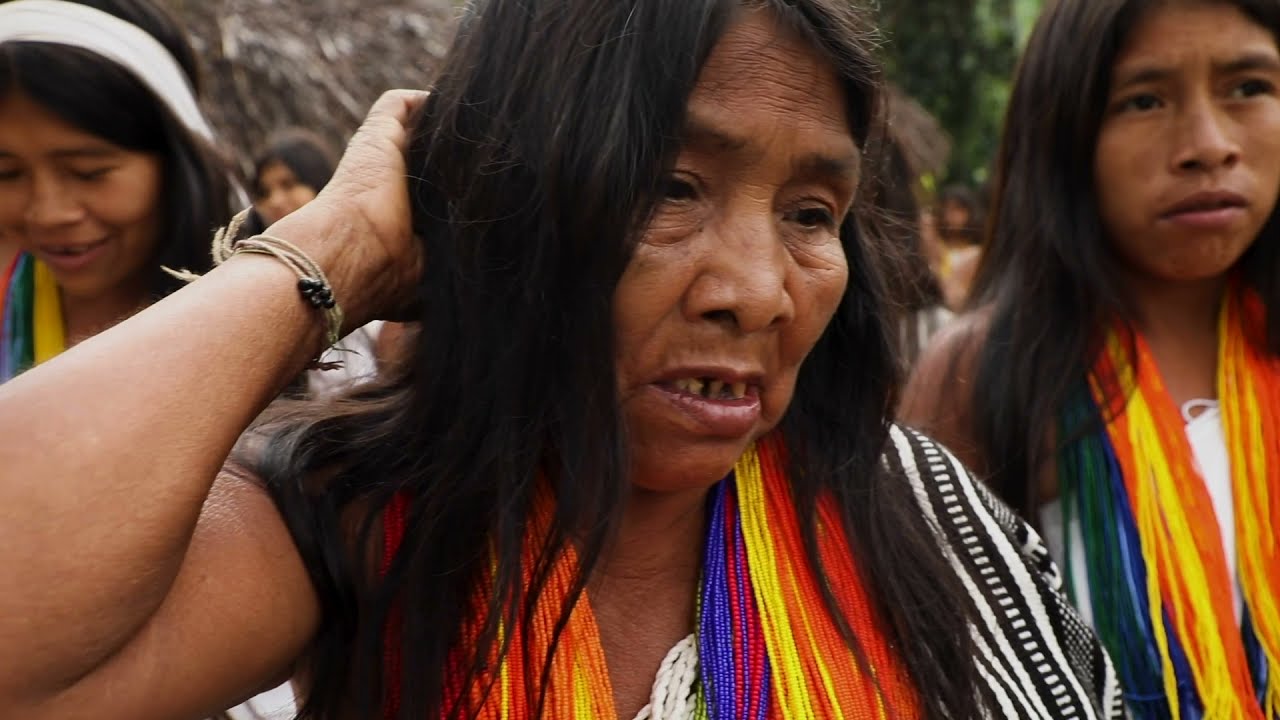 El canto de las mujeres Kogui