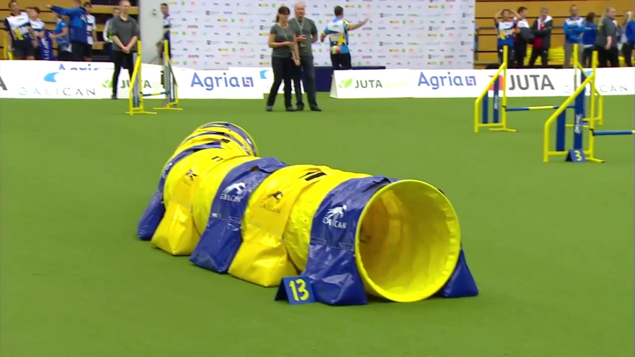 AWC 2018 Small Individual Jumping