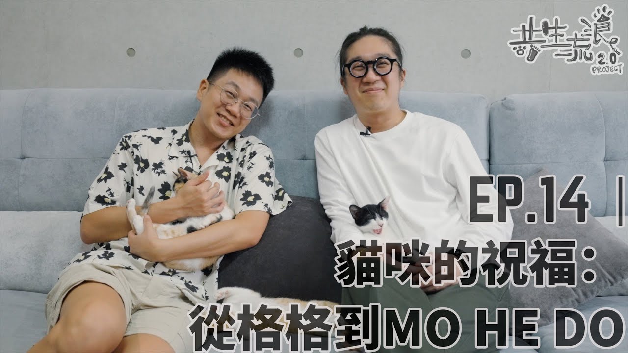 共生流浪2.0計畫｜EP14貓咪的祝福：從格格到MO HE DO｜寵物告別 貓咪 新成員 夢境的訊息 愛的傳承 家人的故事 毛孩陪伴 寵物與家人