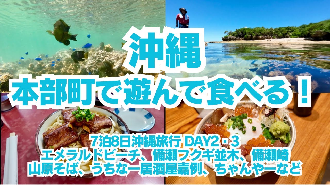 【7泊8日沖縄旅行】2日目、3日目で訪れた本部町エリアのお勧め食事、観光スポット！！山原そば、うちなー居酒屋嘉例、ポーたま、ちゃんやー、備瀬フクギ並木、備瀬崎、エメラルドビーチなど