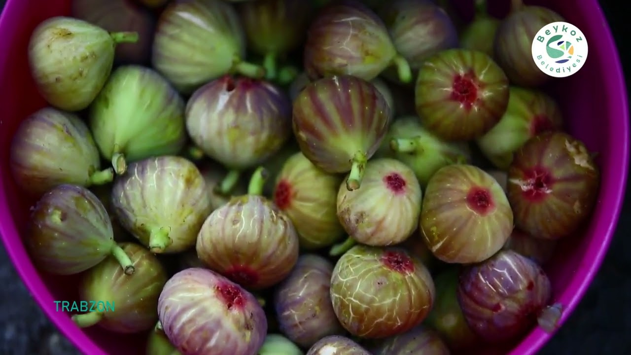Beykoz'un Renkleri: Trabzon