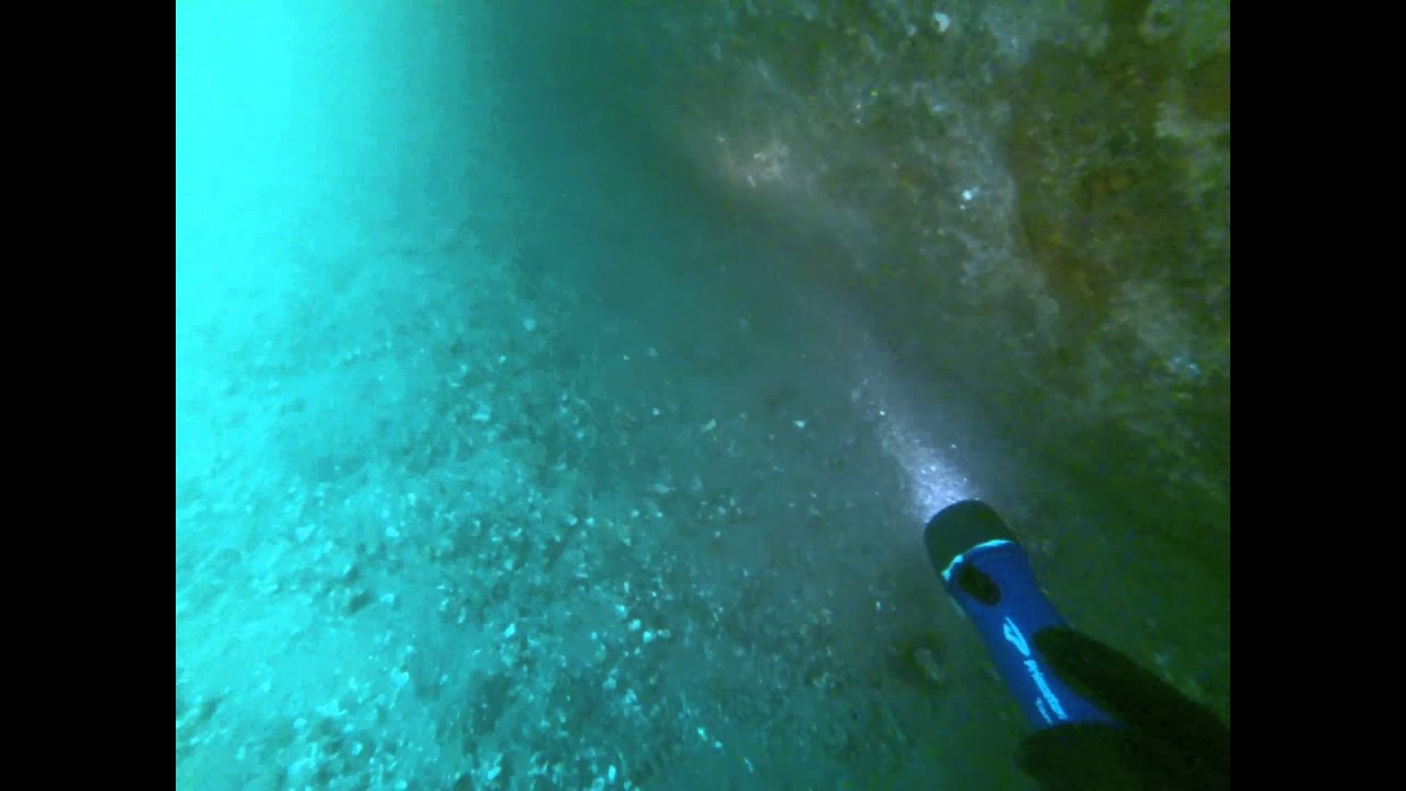 Northeast diving on a good day