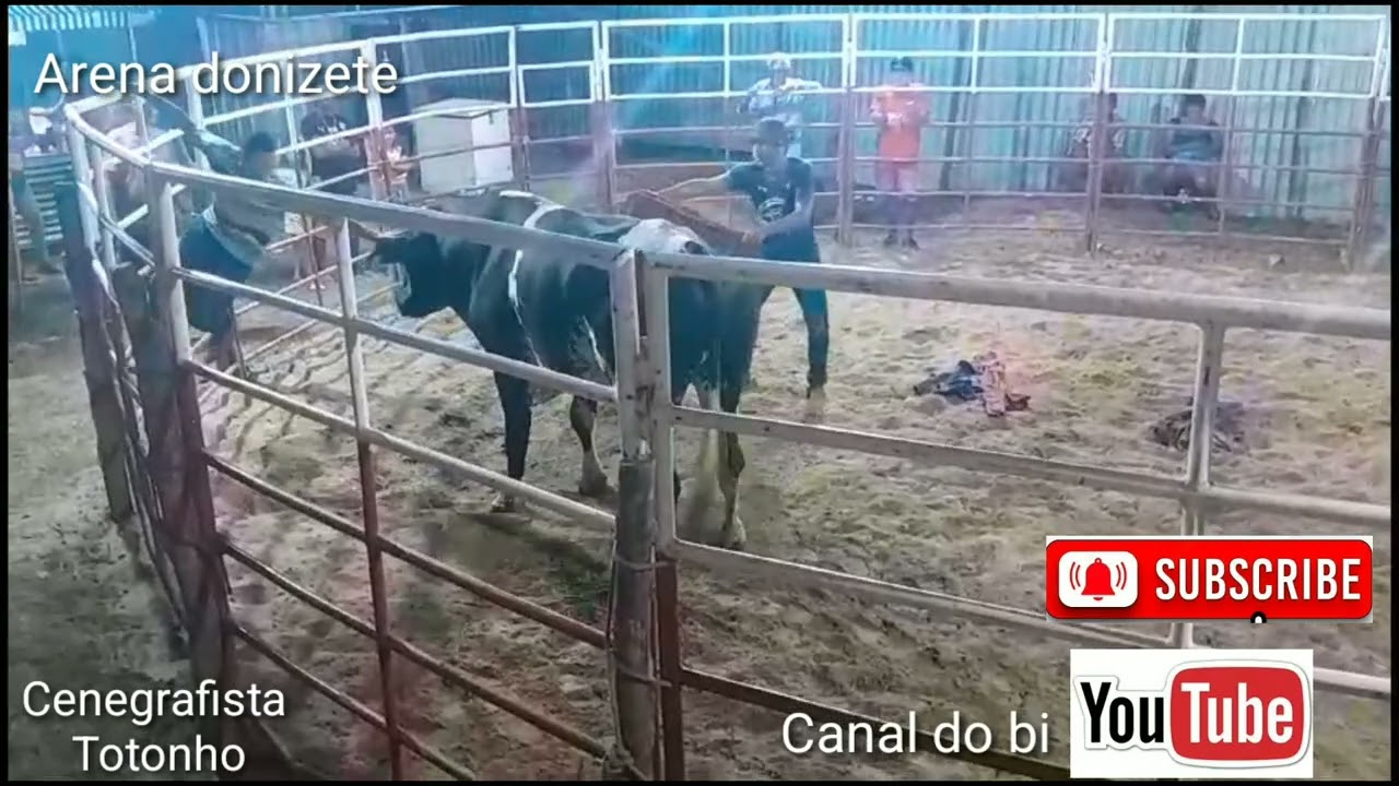 arenadonizete02