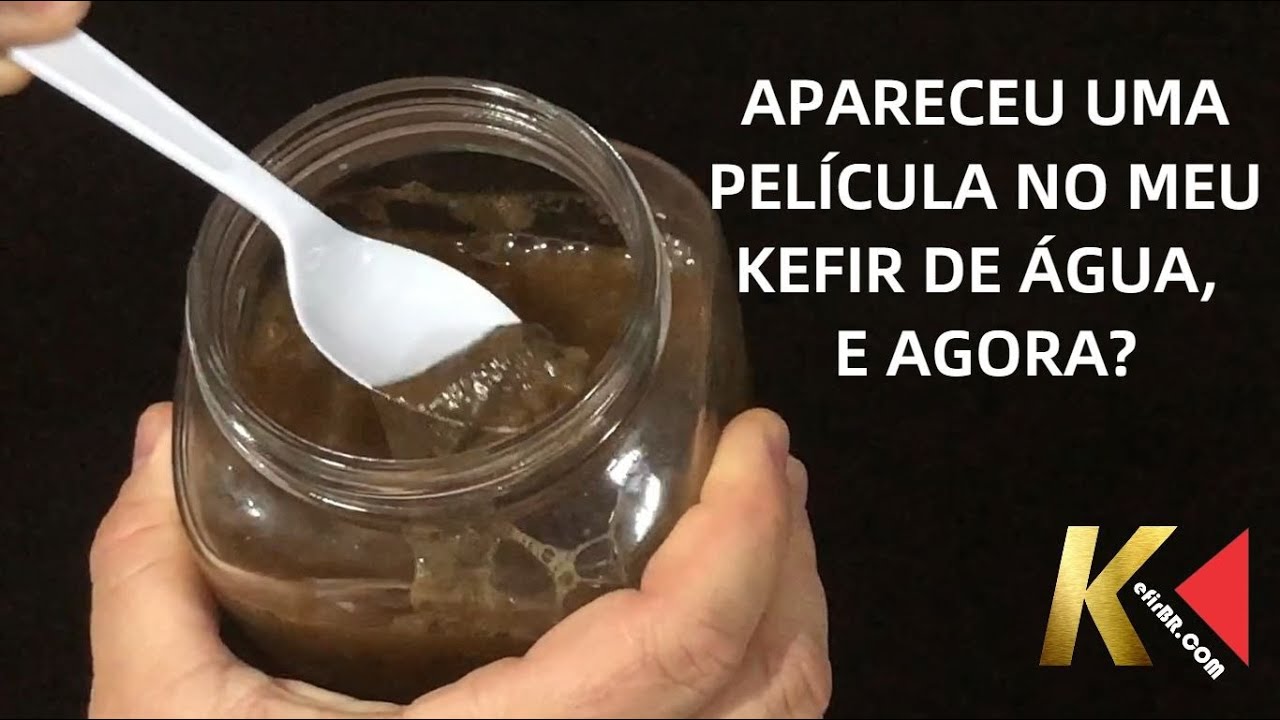 FORMAÇÃO DE PELÍCULA NO KEFIR DE ÁGUA  | FORMAÇÃO DE SCOBY NO  KEFIR DE ÁGUA | SAIBA O MOTIVO