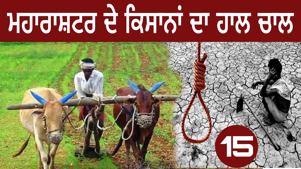 ਮਹਾਰਾਸ਼ਟਰ ਦੇ ਕਿਸਾਨ।ਖੇਤੀਬਾੜੀ। maharashtra|@devkuraiwala7573 