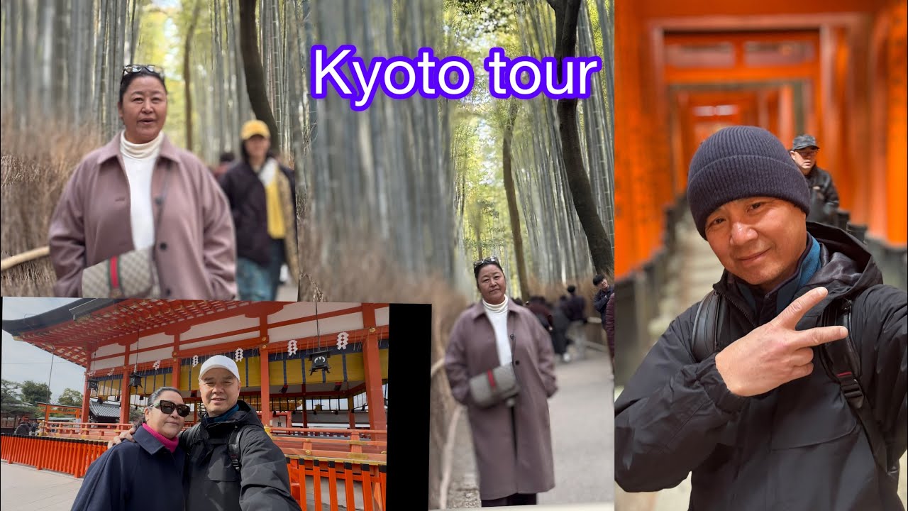 Beautiful Kyoto in   January 2026