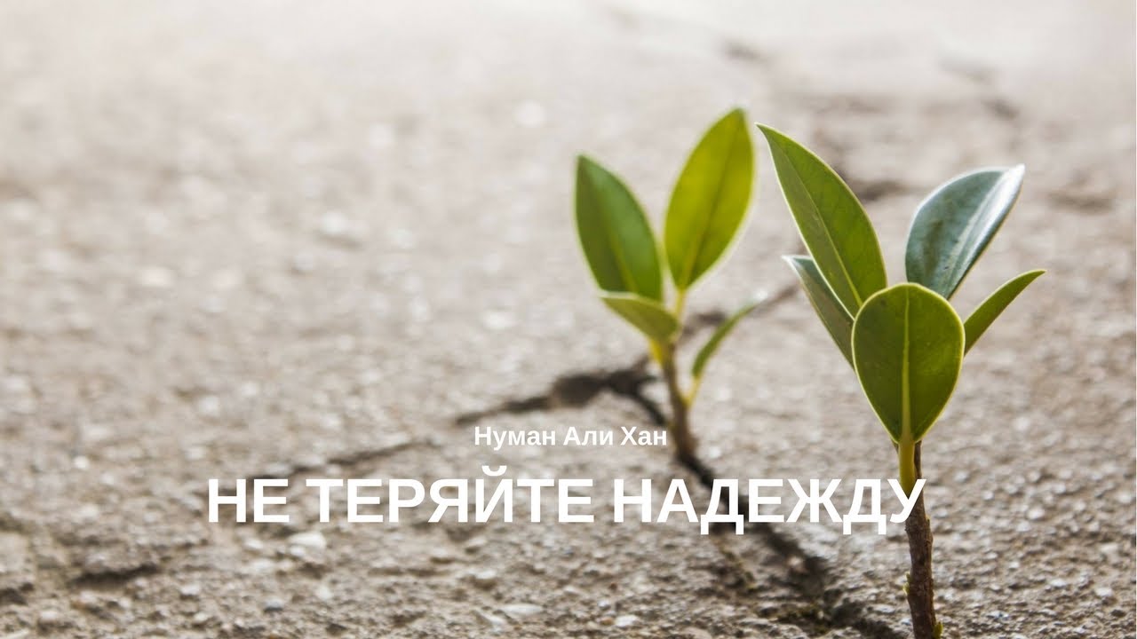 Совершил грех? Не теряй надежду | Нуман Али Хан (rus sub)