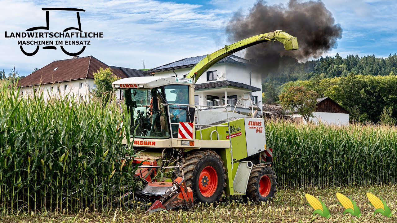 Claas Jaguar 840 beim Maishäckseln | Mit Rauchzeichen in die Maisernte 2025 | Same und Steyr Traktor