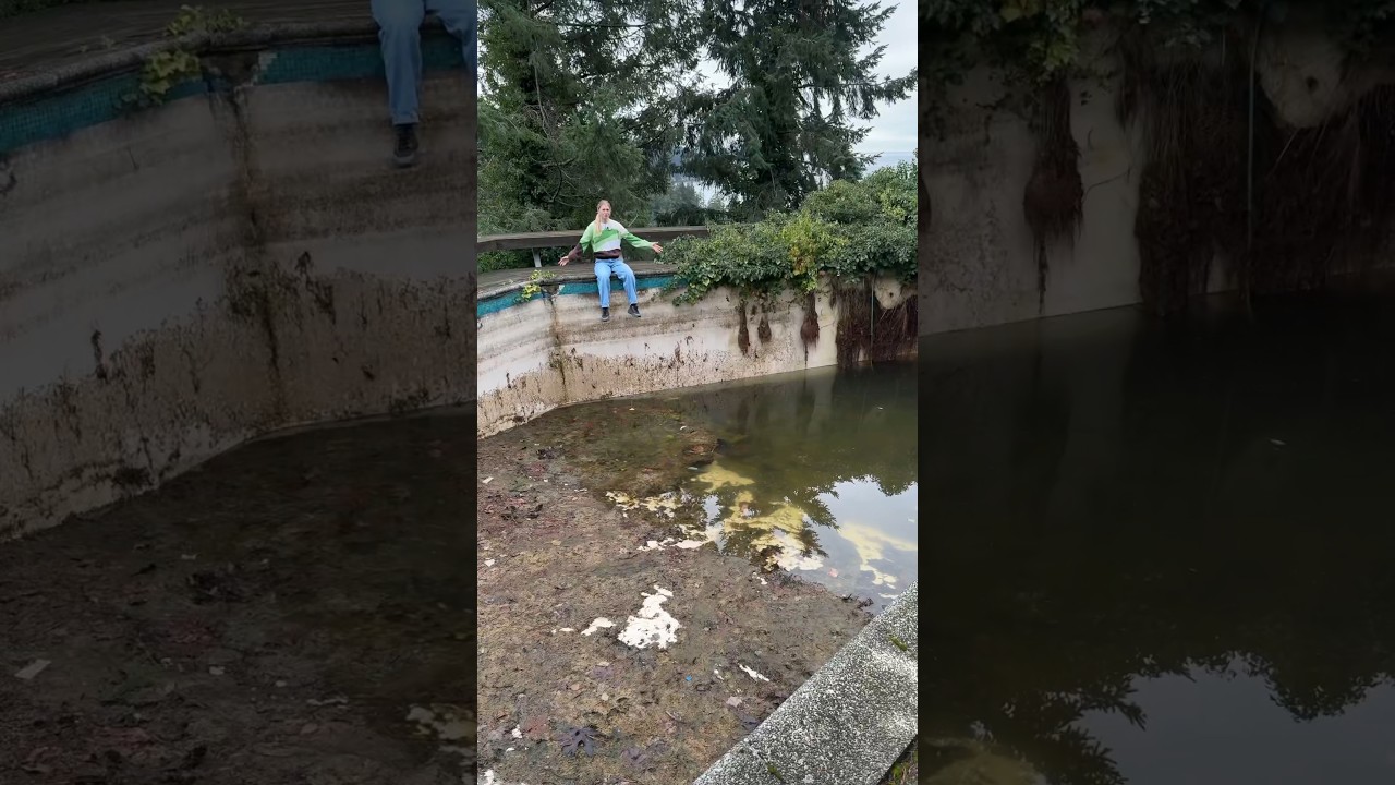 we cleaned our abandoned pool
