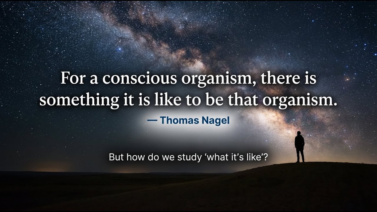 The Consciousness Myth: Why Your Brain is Not a Computer