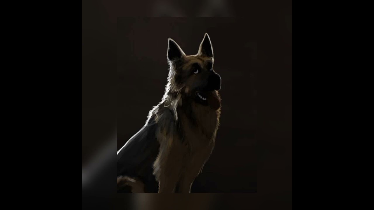 walk em like a dog - D sturdy ( Super slowed )