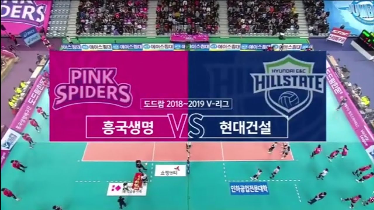 V리그 | 190127 흥국생명 vs 현대건설 | 여자프로배구