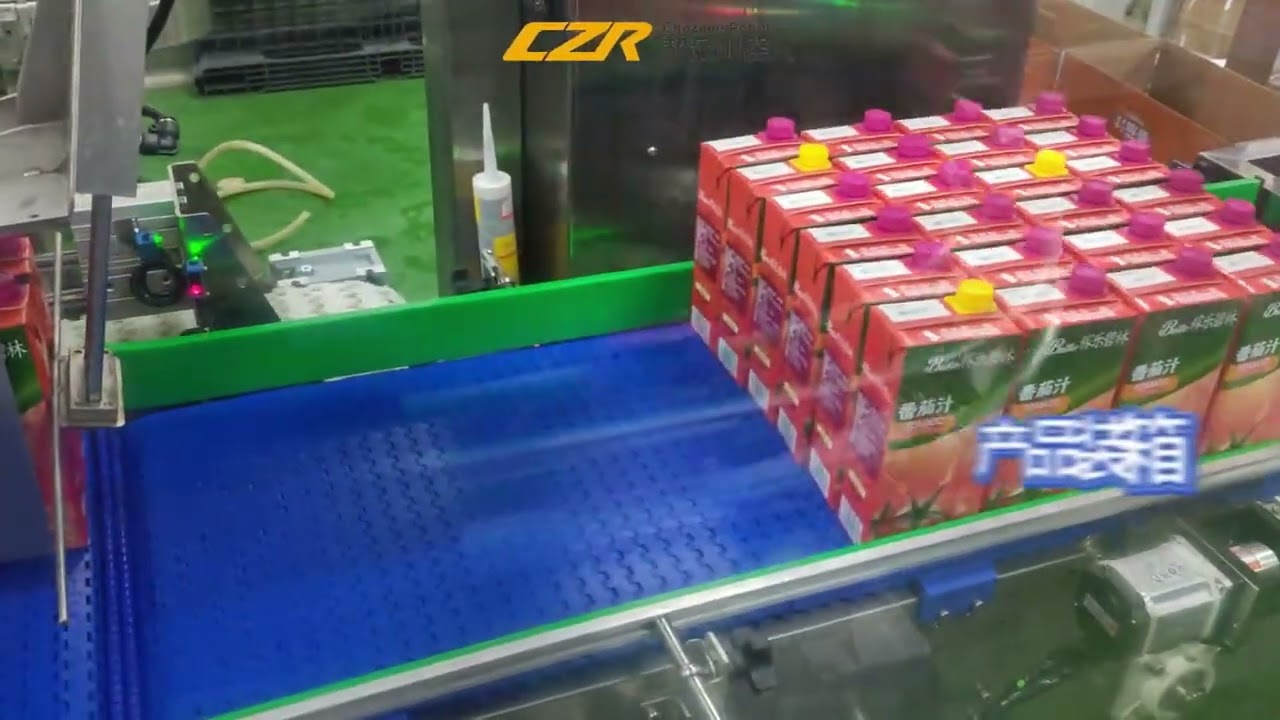Case packer, Palletizing robot, sealing machine  for the production line.