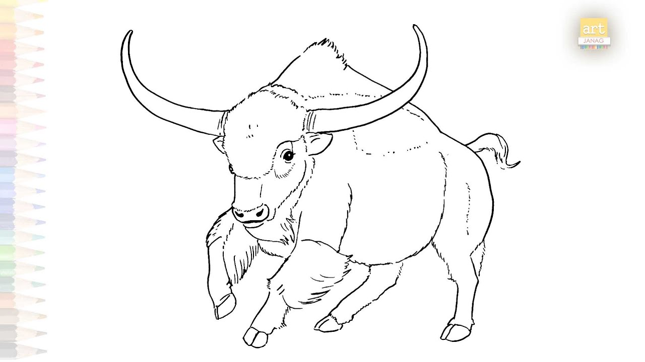 Long horned Bison drawings easy | Wild animal tutorial | How to draw Long horned Bison step by step