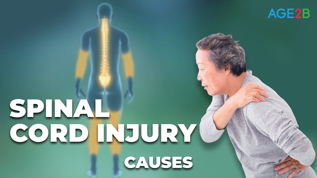 Causes of Spinal Cord Injuries | Causes, Effects and Classifications | Neuroanatomy