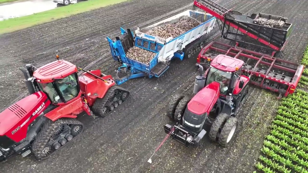 Kicking Off Sugar Beet Harvest 2025 | Clara City, Minnesota