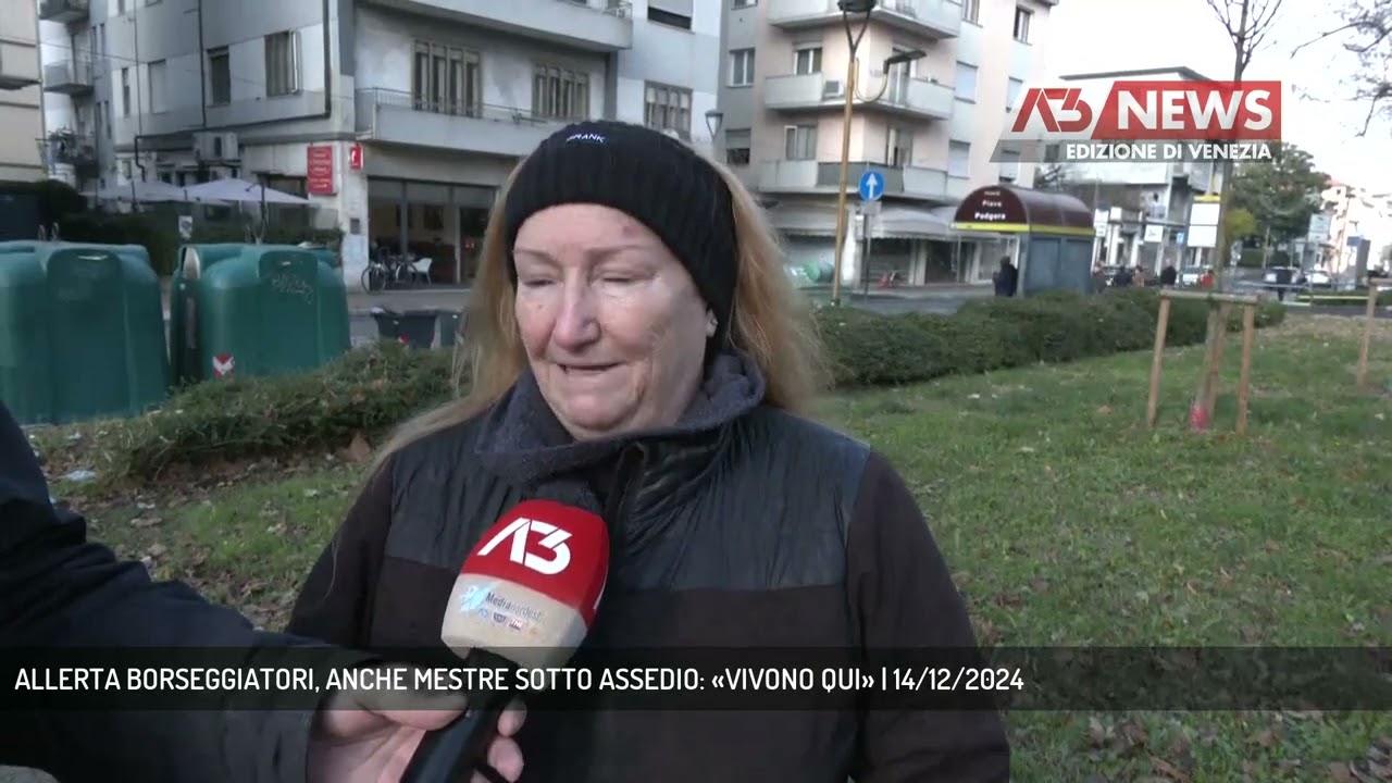 ALLERTA BORSEGGIATORI, ANCHE MESTRE SOTTO ASSEDIO: «VIVONO QUI» | 14/12/2024