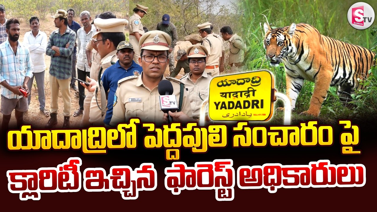 యాదాద్రి జిల్లాలో పులి సంచారం.. ఫారెస్ట్ అధికారుల క్లారిటీ.. | Big Tiger Roaming In Yadadri Dist