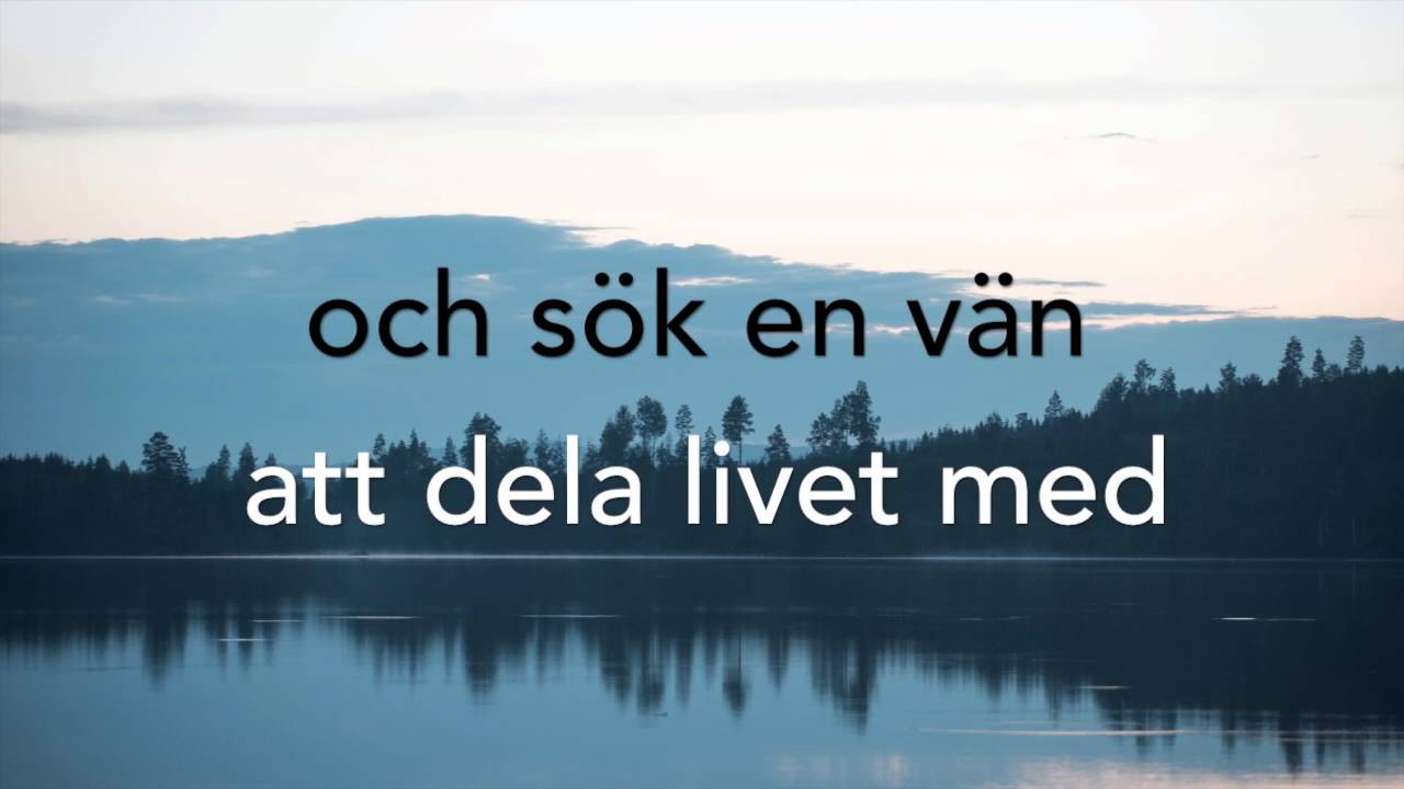 JONNY CUTZ  - S&ouml;k en v&auml;n