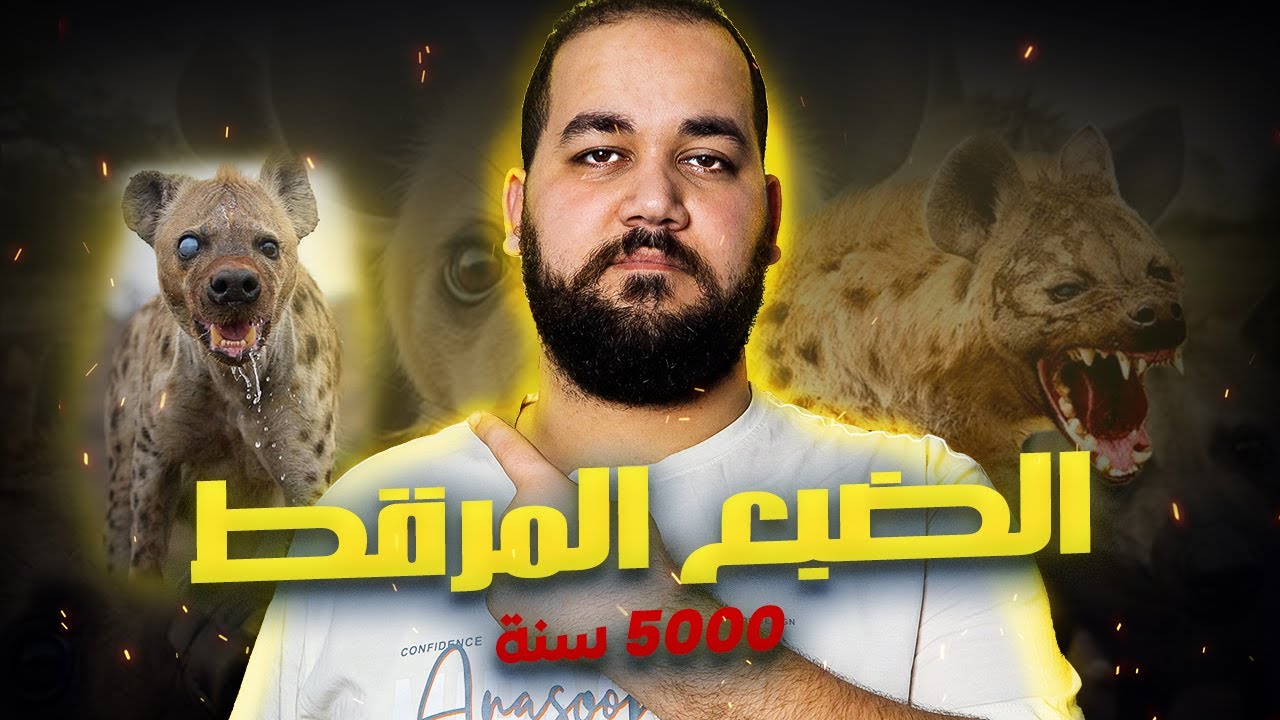 الضبع المرقط ظهر في مصر بعد 5 الاف سنة
