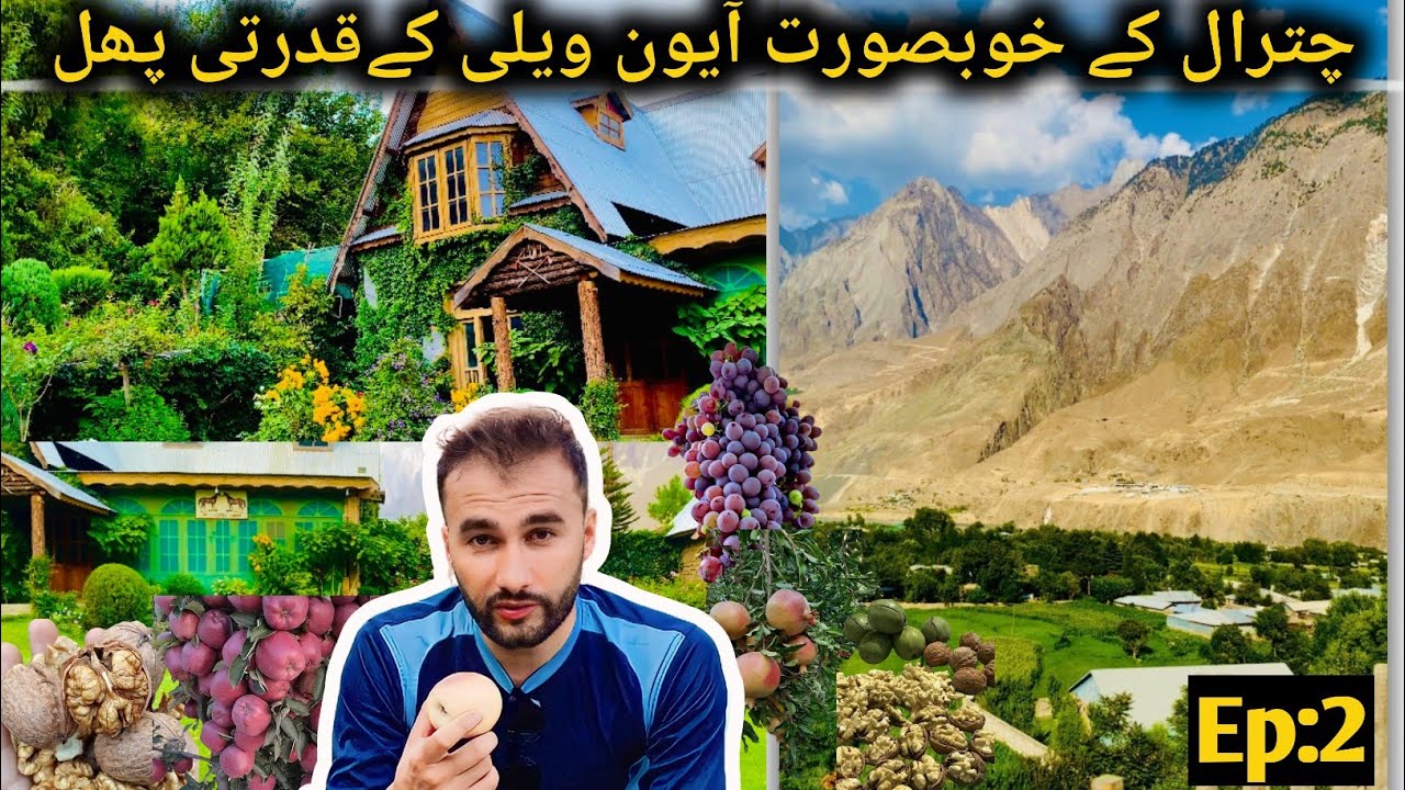 Exploring  Beauty Of Ayun Valley & Natural Fruits || Chitral Series - Ep 2 || Bike Tour
