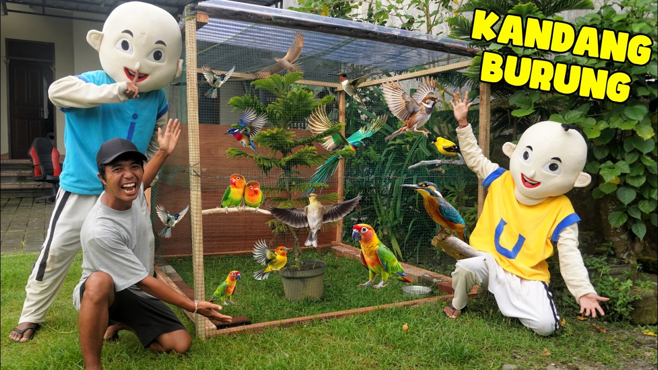 KITA BIKIN AVIARY UNTUK BURUNG KESAYANGAN UPlIN?!