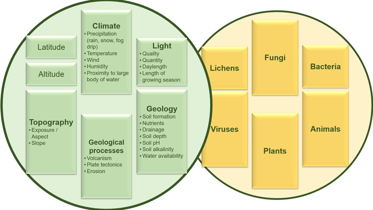 H164 Lecture: Introduction to plant communities