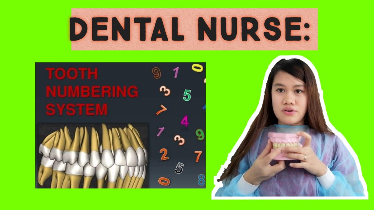 DENTAL NURSE : TOOTH NUMBERING SYSTEM / BASIC CHARTING / TAGALOG ( DENTAL NURSE IN KUWAIT)
