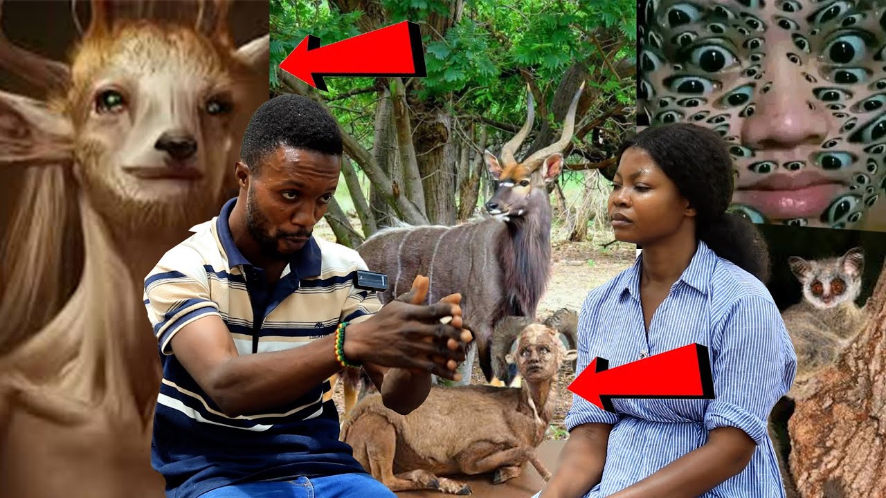Scary Story Of A Ghanaian Hunter. A man narrates how an old Woman Turned Into Animal In the Forest .
