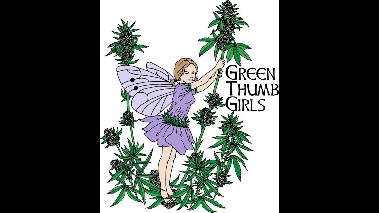 Green Thumb Girls Ganja Garden Day Vid Update & Before Video