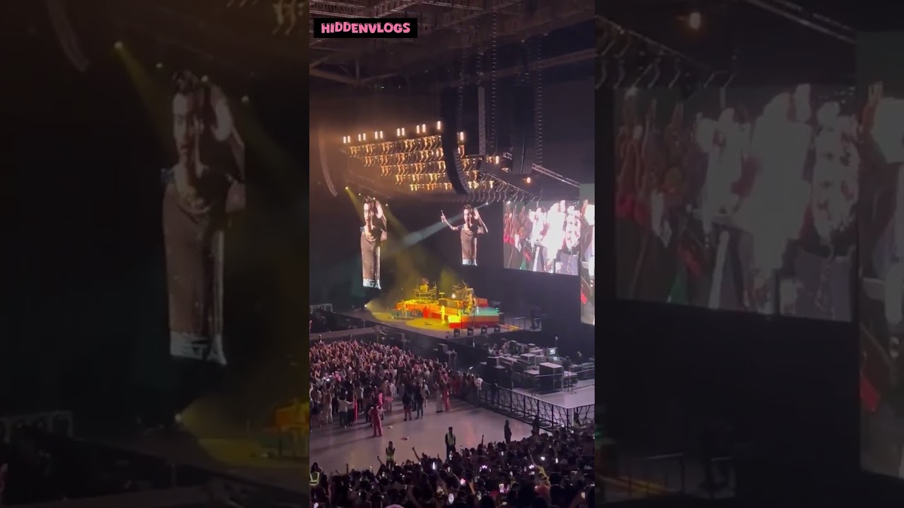 Looking back into this video of Harry Styles Love On Tour (Manila 2023) | Hidden Vlogs