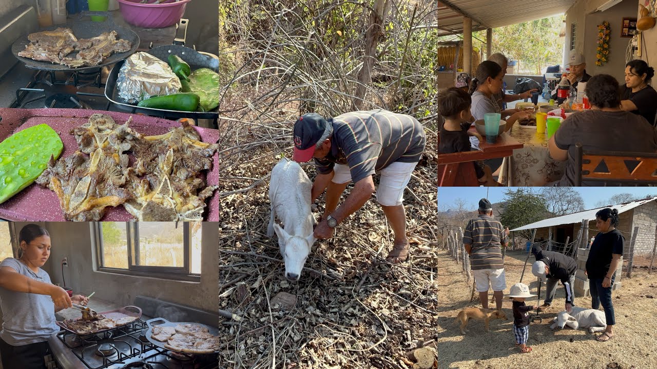 Conociendo su NUEVA Integrante🐄+Nos cuenta cómo Pasaba la FRONTERA🇺🇸  #tendencia #paratiii #familia