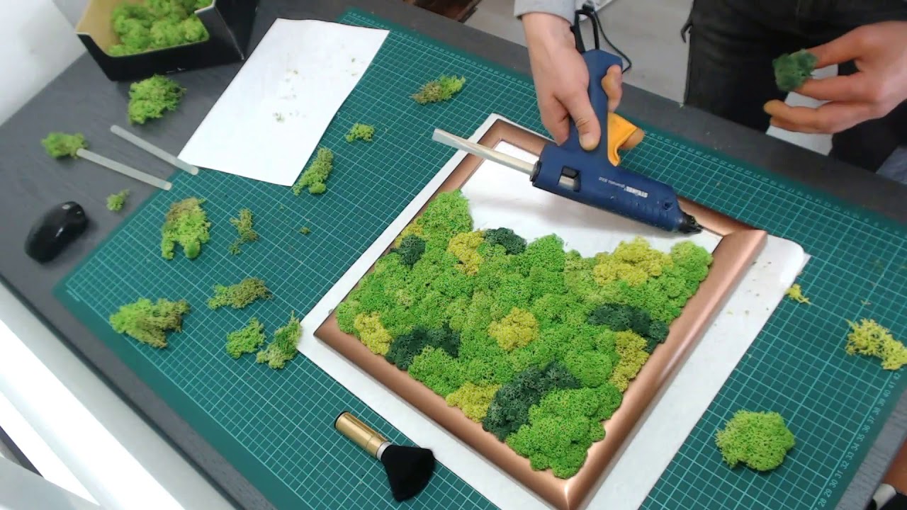 DIY MOSS FRAME