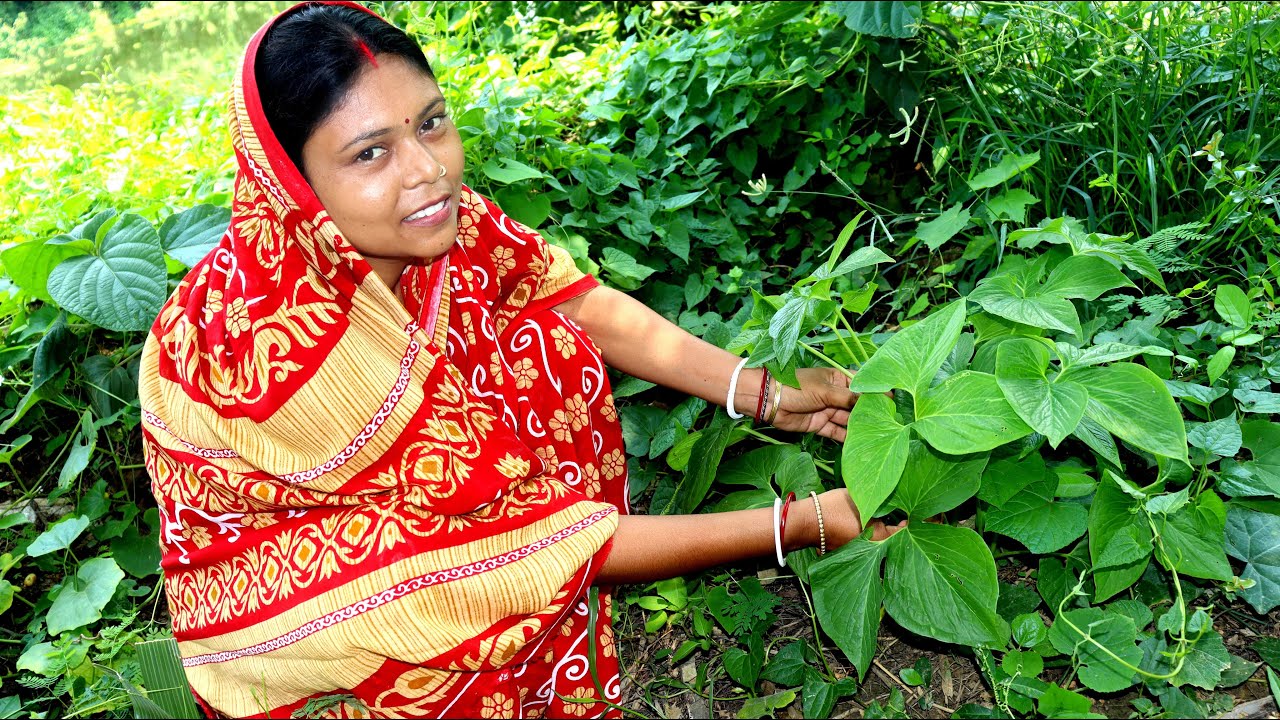 গ্রাম বাংলার হারিয়ে যাওয়া খারকোল পাতার এক বিশেষ রান্না // Wild Arum Recipe // Ghatkol Pata Ranna