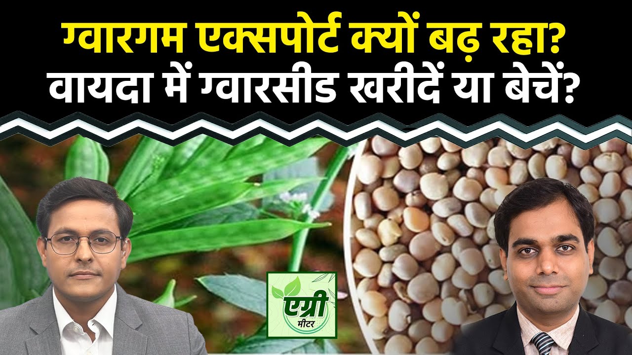 Agri News: NCDEX पर किस एग्री कमोडिटी में ट्रेडिंग का मौका? । Agri Meter