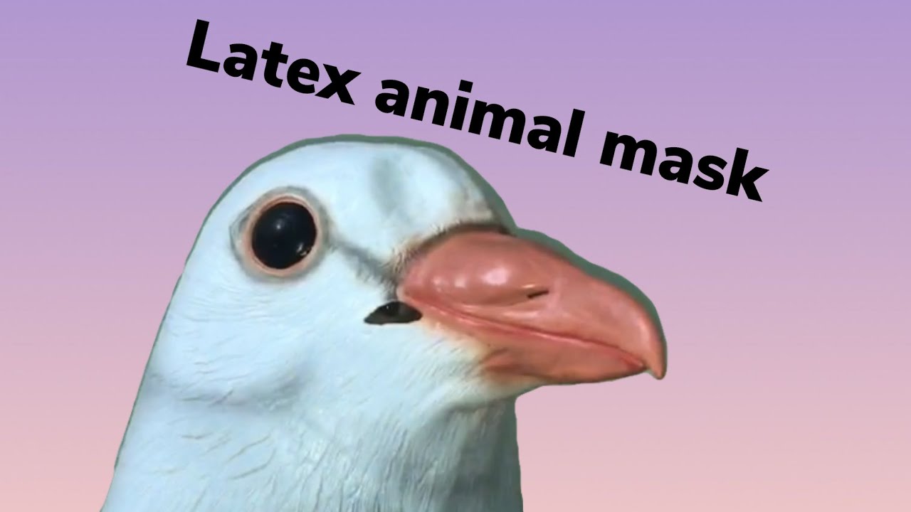 Latex white pigeon mask review