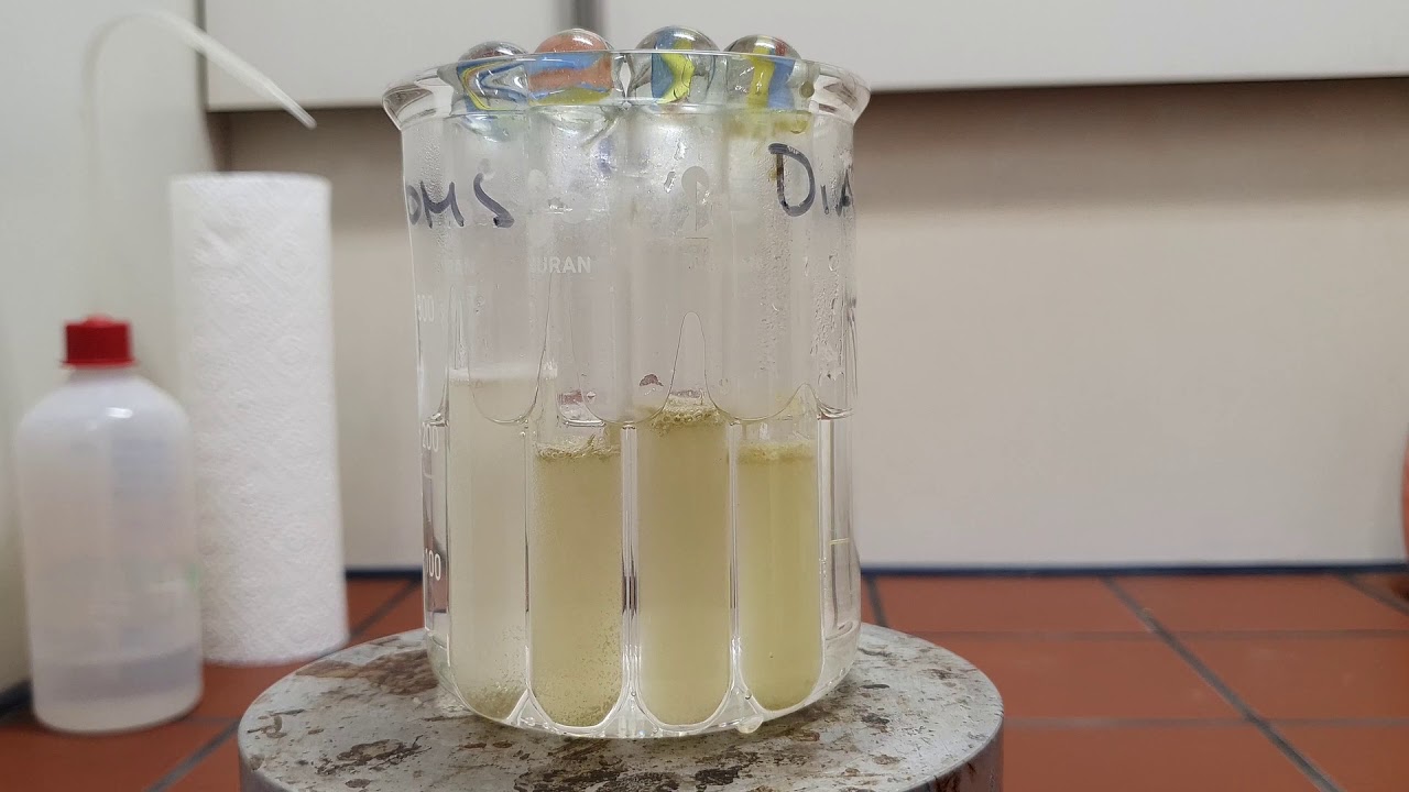 Diatom Training video. Part II Lab work