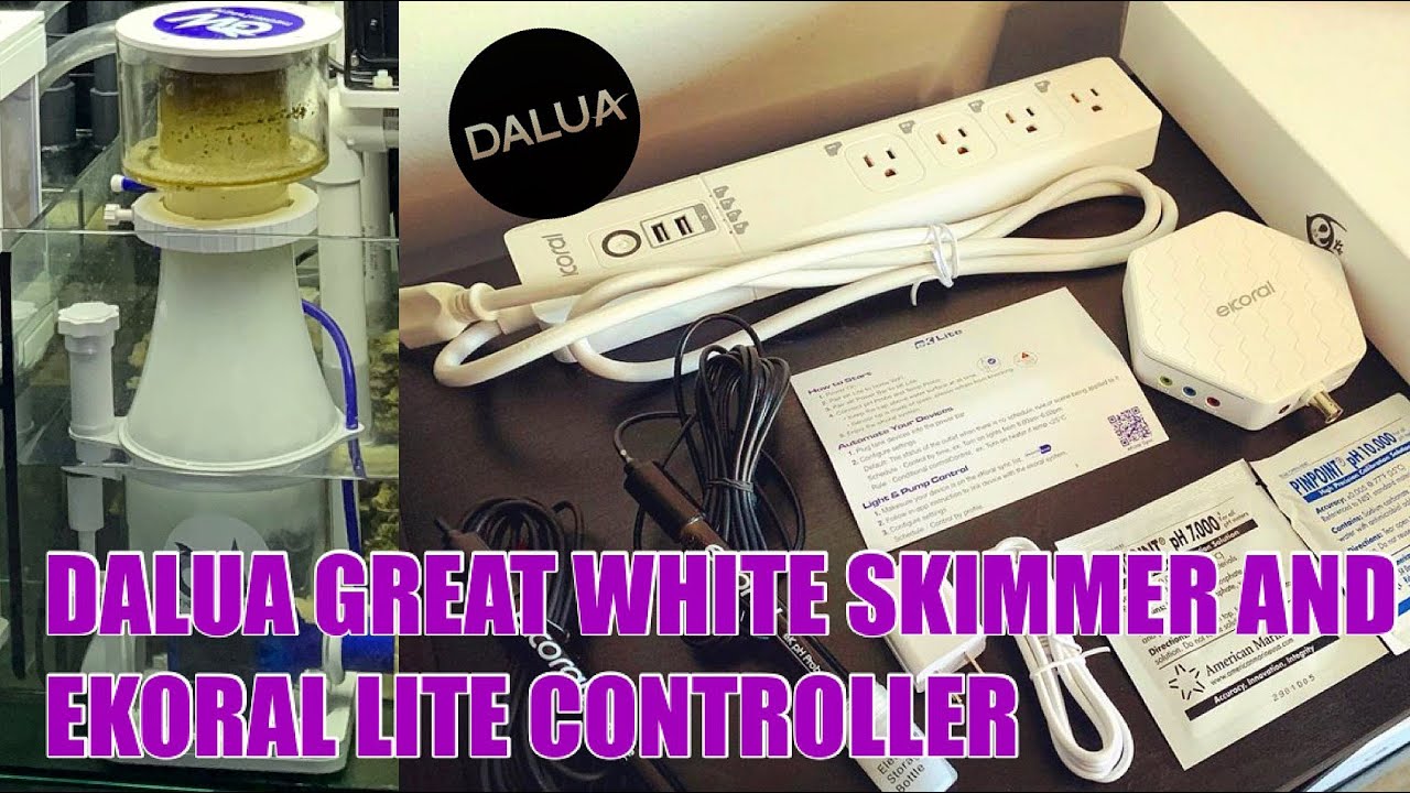 Waterbox Reef 100.3g Equipment: Dalua Great White Skimmer and eKoral Lite Controller