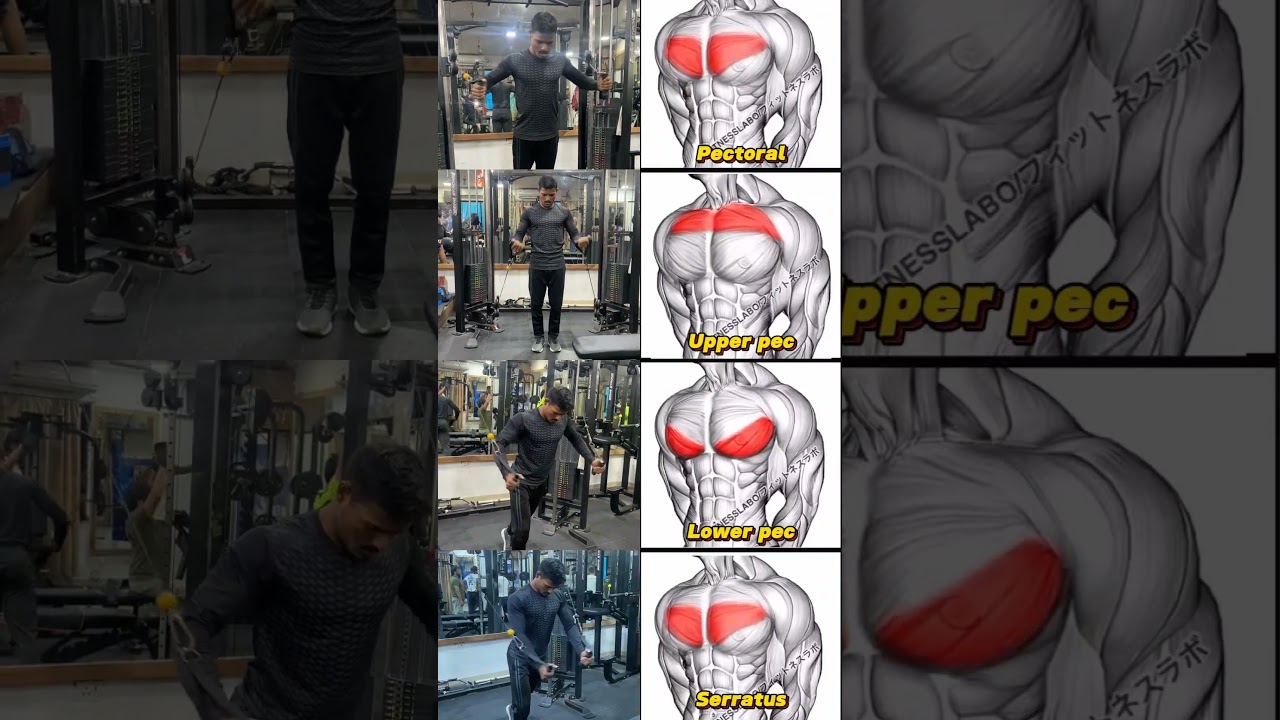 Full chest workout with cable machine 💯✅ #excercisetips #chesttricepworkout  #shortvideo
