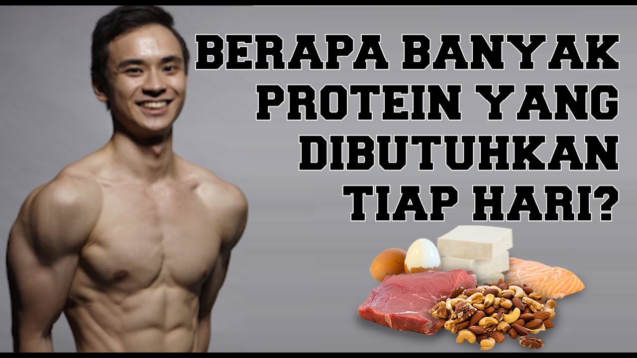 Butuh Berapa Banyak Protein Untuk Membuat Otot? By Brodibalo